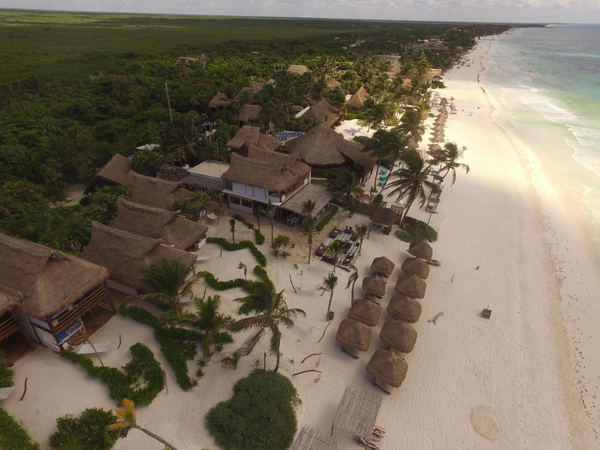 Alma Tulum Hotel Exterior photo