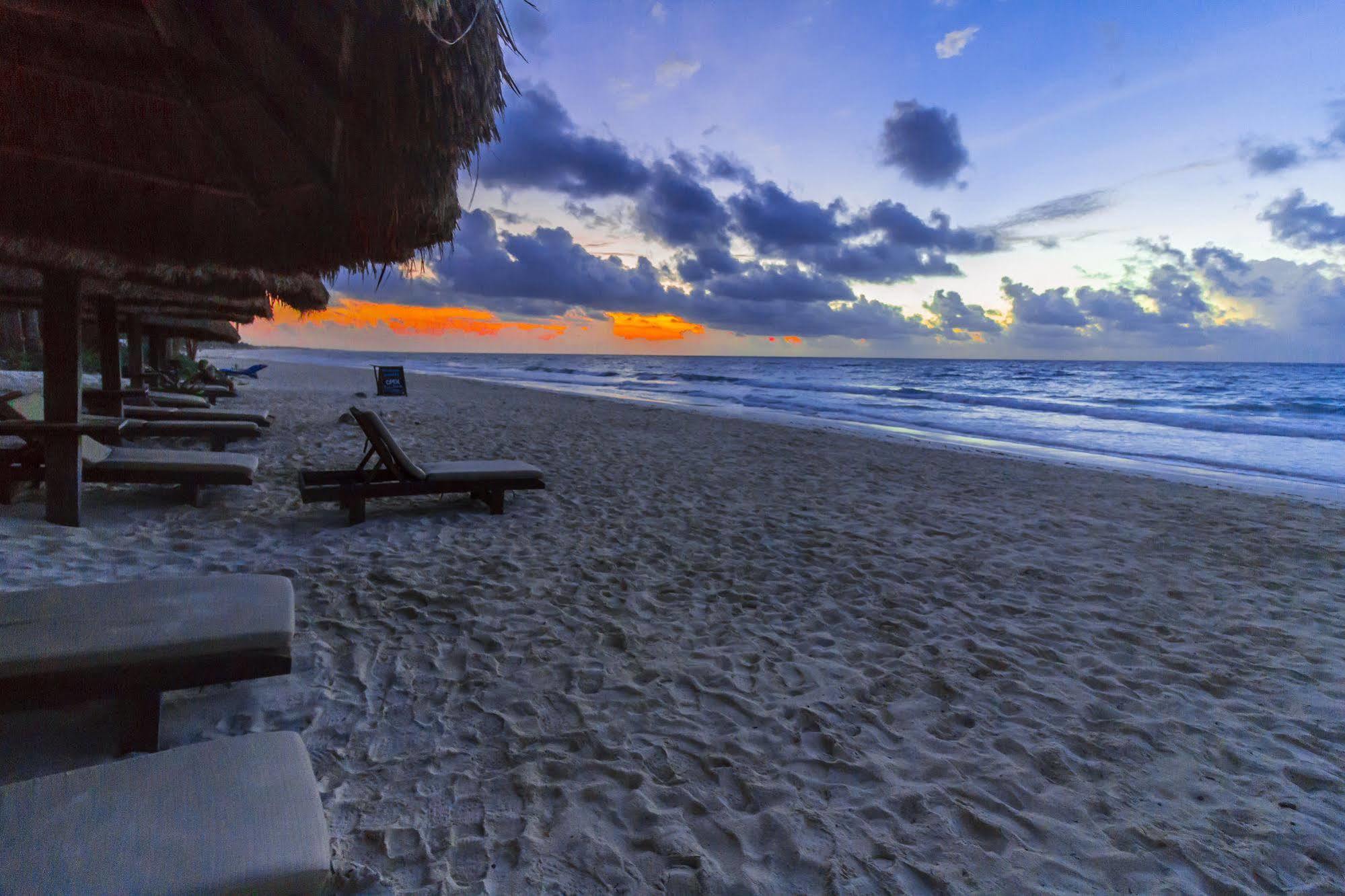 Alma Tulum Hotel Exterior photo