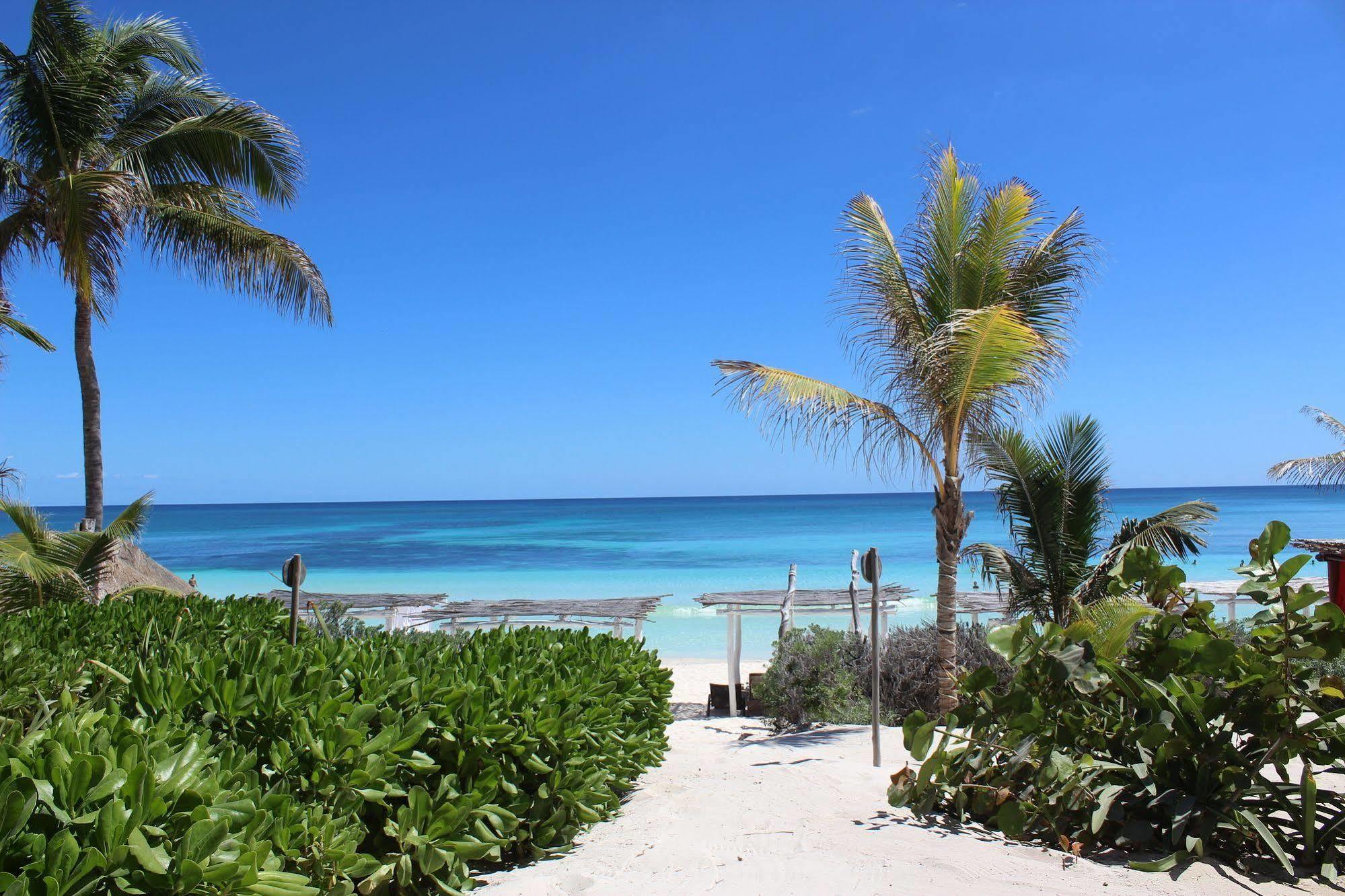 Alma Tulum Hotel Exterior photo