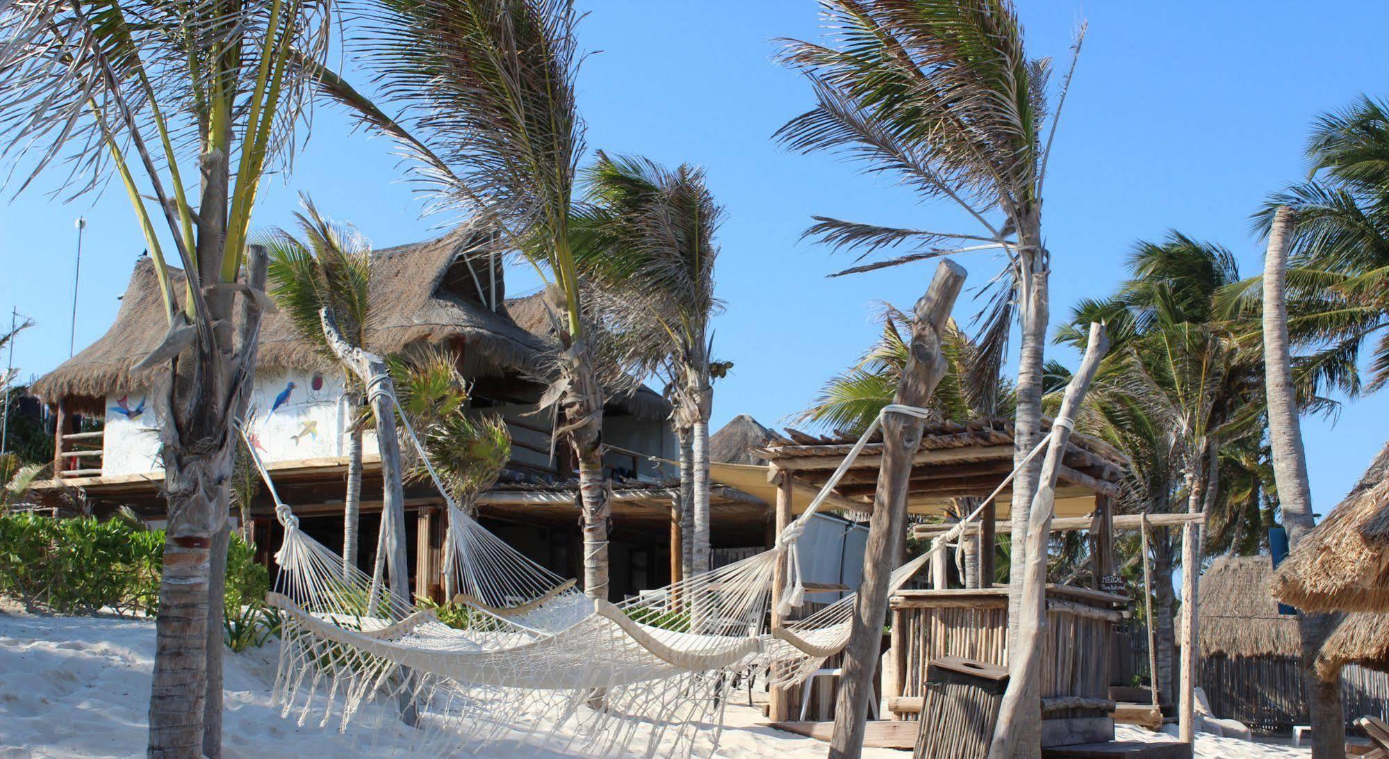 Alma Tulum Hotel Exterior photo